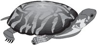 ANMAQ061.eps