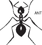 ANMIN002.eps
