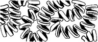BKGGN024.eps