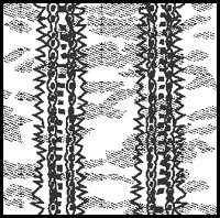 BKGGN048.eps