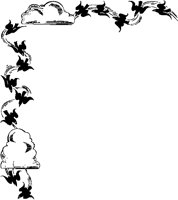 BORBS229.eps