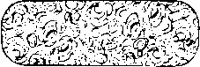 BORBS425.eps