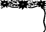 BORBS441.eps