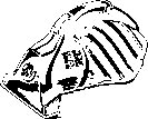 H_HAP113.eps