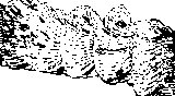 H_HIM124.eps