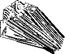 H_HIM234.eps