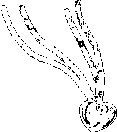 JWLNC006.eps