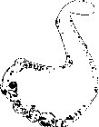 JWLNC014.eps