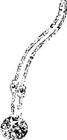 JWLNC015.eps