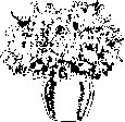 NATFL117.eps