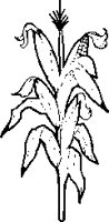 NATPL029.eps