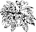 NATPL041.eps