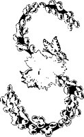 SEASP035.eps