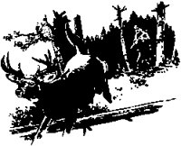 SPOHN004.eps
