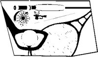 SPOOT179.eps