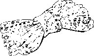SPOOT228.eps
