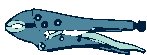 TOLHN081.eps