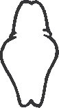 Nose 01.eps