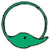 Circle Dolphin.eps