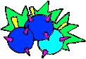 Prickle Fruit.eps
