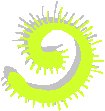 Prickley Coil.eps