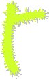 Prickley Extension.eps