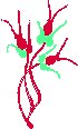 Seedsprout Family.eps