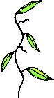 Stem Leaves.eps