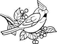 Cardinal Bird 3.eps