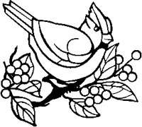 Cardinal Bird 4.eps