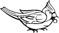 Cardinal Bird with Berry.eps