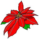 Poinsettia 1.eps