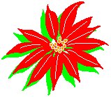 Poinsettia 2.eps