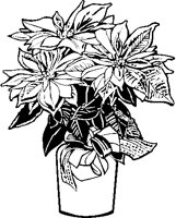 Poinsettia 1.eps