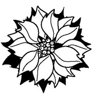 Poinsettia 2.eps