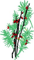 BRANCH03.WMF