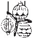 Ornaments 4.eps