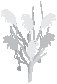 Tree 19.eps