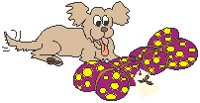 Pet Gift.eps