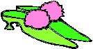 Slippers - Pom Pom.eps