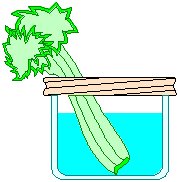 Science - Experiment 1.eps