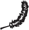 Quill 01.eps