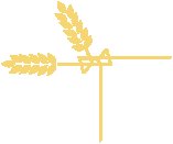 Wheat Corner.eps