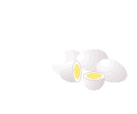 Hard Boiled 4.eps