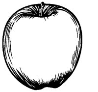 Apple - Frame.eps