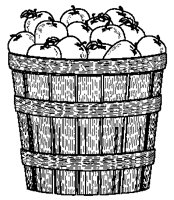 Apples - Bushel 1.eps