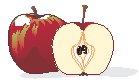 Apples 1.eps
