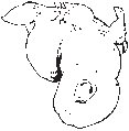 Apples 3.eps