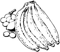 Bananas 1.eps