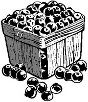 Blueberries.eps